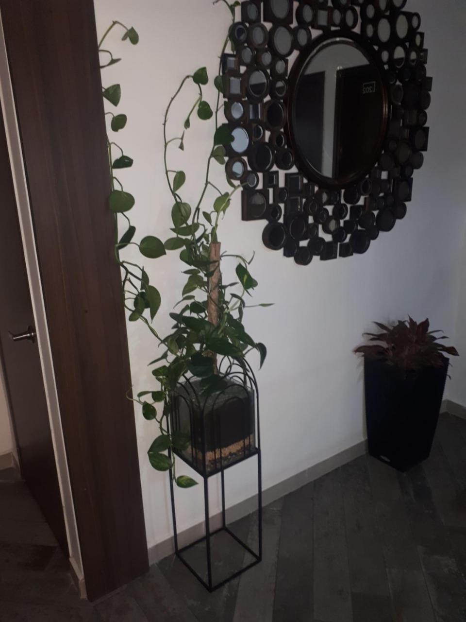 Rivière Boutique Hotel Medellín Esterno foto